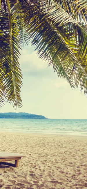 Tropical_ Beach_ Holiday_ View.jpg Wallpaper