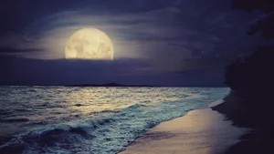 Tropical Beach Night Vibe Wallpaper