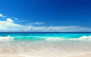 Tropical Beach Paradise Wallpaper