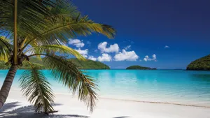 Tropical Beach Paradise Wallpaper