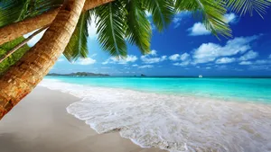 Tropical_ Beach_ Paradise Wallpaper