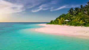 Tropical Beach Paradise Wallpaper