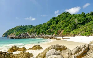 Tropical Beach Paradise Wallpaper