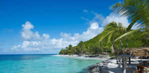 Tropical Beach Paradise St Vincent And Grenadines Wallpaper