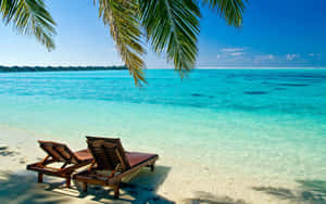 Tropical Beach Paradise Wallpaper