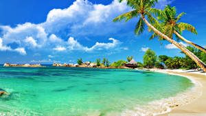 Tropical Beach Resort Wallpaper