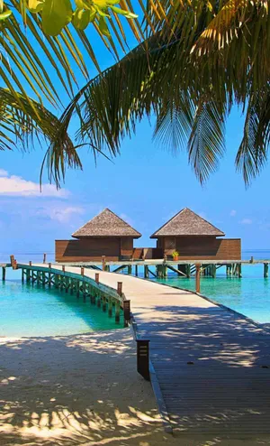Tropical Beach Resort Overwater Bungalows Wallpaper