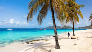 Tropical Beach Saint Vincent And The Grenadines Wallpaper