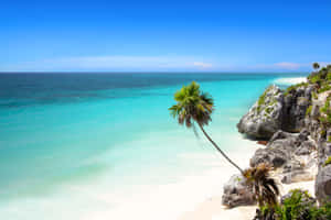 Tropical Beach Serenity Wallpaper