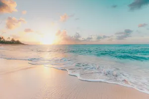 Tropical Beach Sunset Wallpaper