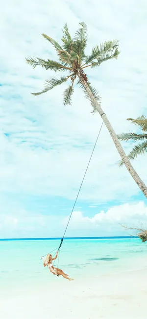 Tropical_ Beach_ Swing_ Coconut_ Girl.jpg Wallpaper