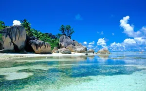 Tropical Beach Water Sunny Day Wallpaper
