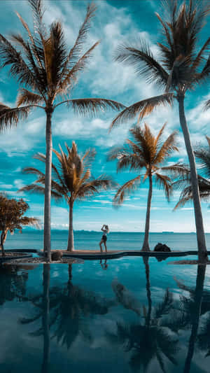 Tropical Beachside Solitude Wallpaper