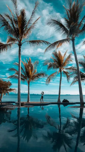 Tropical Beachside Solitude Wallpaper