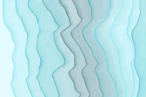 Tropical California Beach Wallpaper