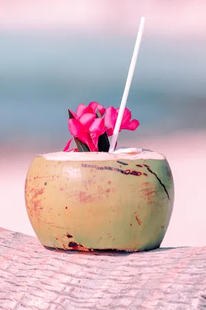 Tropical Coconut Drinkwith Flower Wallpaper