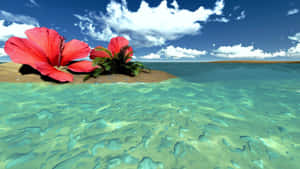 Tropical Hibiscus Island Aesthetic Wallpaper