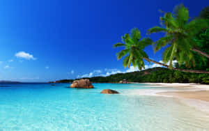 Tropical Island Rocks Wallpaper