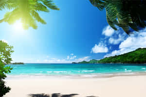 Tropical Island Sun Wallpaper