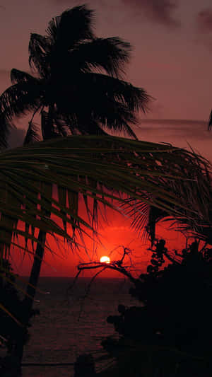 Tropical Island Sunset Holiday Iphone Wallpaper