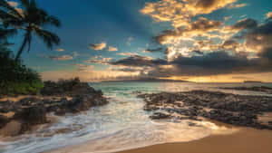 Tropical Island Sunset Paradise Wallpaper