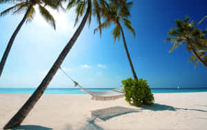 Tropical Maldives Beach Paradise Wallpaper