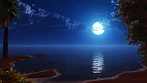 Tropical_ Moonlit_ Beach Wallpaper