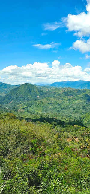 Tropical_ Mountain_ Valley_ View Wallpaper