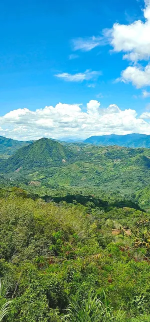 Tropical_ Mountain_ Valley_ View Wallpaper