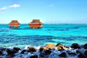 Tropical Overwater Bungalows Caribbean Wallpaper