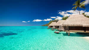 Tropical Overwater Bungalows Crystal Blue Ocean Wallpaper