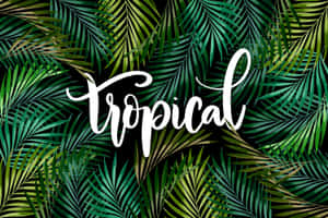 Tropical Palm Frond Pattern Wallpaper