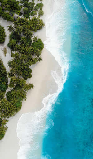 Tropical_ Paradise_ Aerial_ View_4 K_ U H D.jpg Wallpaper