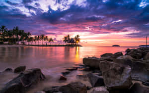 Tropical Paradise At Dusk Wallpaper