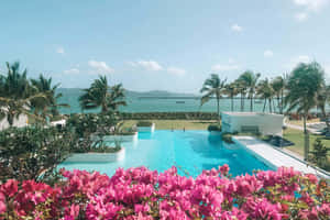 Tropical Resort View Townsville Wallpaper