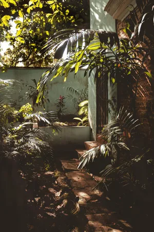 Tropical_ Sanctuary_ Puerto_ Rico.jpg Wallpaper