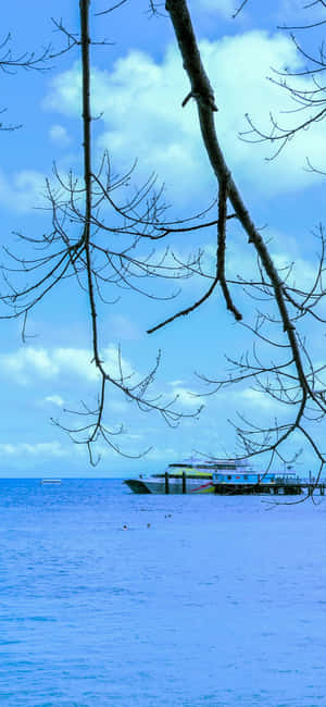 Tropical Seascapewith Pontoon Great Barrier Reef Wallpaper