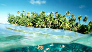 Tropical_ Split Level_ Sea_ View Wallpaper