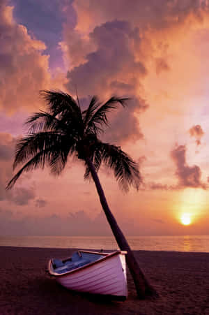 Tropical_ Sunset_ Boat_and_ Palm_ Tree Wallpaper