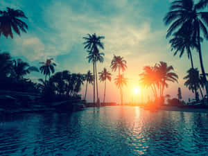 Tropical Sunset Poolside Paradise Wallpaper