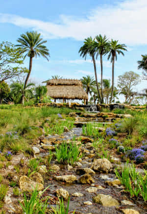 Tropical Thatched Hut Sunshine Aesthetic Wallpaper