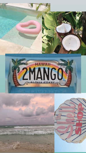 Tropical_ Vibes_ Collage Wallpaper