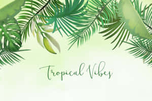 Tropical Vibes Palm Fronds Background Wallpaper