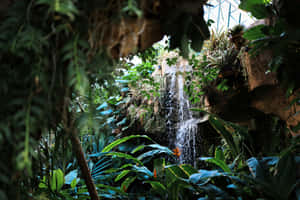 Tropical_ Waterfall_ Sanctuary.jpg Wallpaper