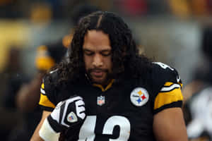 Troy Polamalu, 4-time Super Bowl Champion Wallpaper