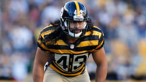 Troy Polamalu, Former Nfl Safety Wallpaper