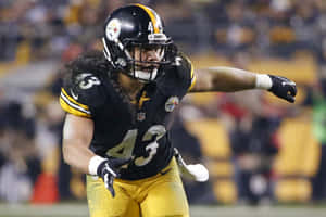 Troy Polamalu, Former Pittsburgh Steelers Safety Wallpaper