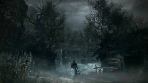 Trudging Through The Dark Woods Of Bloodborne Wallpaper