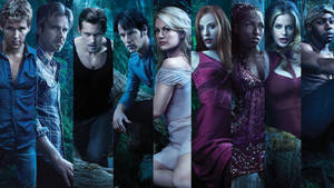 True Blood Character Panel Wallpaper