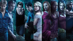 True Blood Character Panel Wallpaper